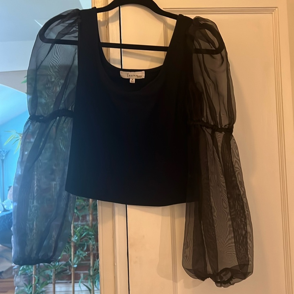 High fashion cropped top